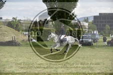 ref. photo 3583475
