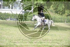 ref. photo 3583482