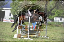 ref. photo 3583496