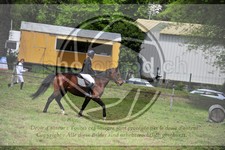 ref. photo 3583516