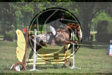 ref. photo 3583521