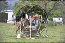 ref. photo 3583523
