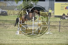 ref. photo 3583622