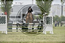 ref. photo 3583687