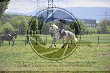 ref. photo 3583695