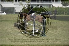 ref. photo 3583709