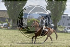 ref. photo 3583718