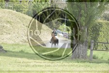 ref. photo 3583781