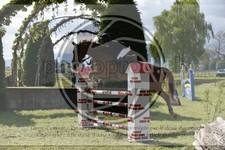 ref. photo 3583814