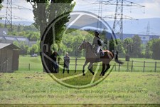 ref. photo 3583898