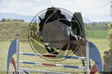 ref. photo 3583927