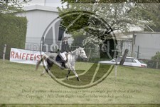 ref. photo 3583930