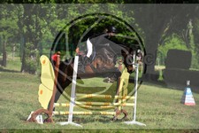 ref. photo 3583942