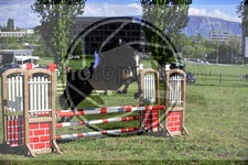ref. photo 3583948