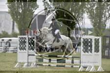 ref. photo 3583954