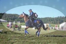 ref. photo 3283801