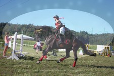 ref. photo 3283803