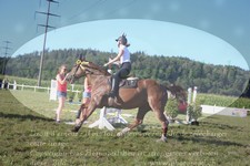 ref. photo 3283806