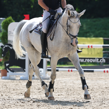 CS Sursee 14.08.2025