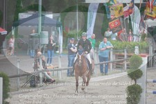 ref. photo 3298420