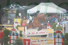 ref. photo 3298506
