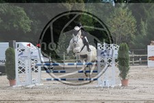 ref. photo 3766935