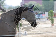 ref. photo 3766967