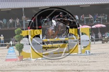 ref. photo 3767063