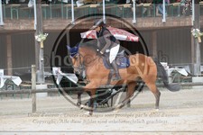 ref. photo 3767072