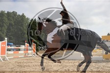 ref. photo 3767101