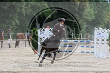 ref. photo 3767103
