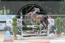 ref. photo 3767116