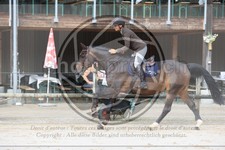 ref. photo 3767133