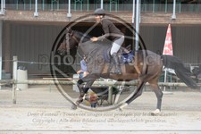 ref. photo 3767134