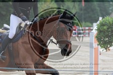 ref. photo 3767168
