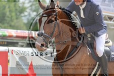 ref. photo 3767186