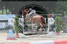 ref. photo 3767412