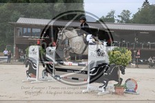 ref. photo 3767536