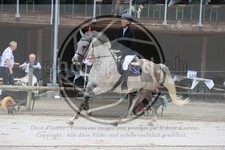ref. photo 3767540