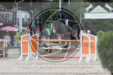 ref. photo 3767546