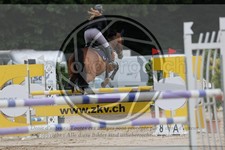 ref. photo 3767613