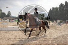 ref. photo 3767776