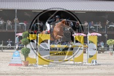 ref. photo 3767810