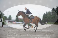 ref. photo 3304834