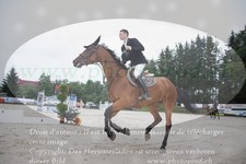 ref. photo 3304836