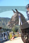 ref. photo 3336367