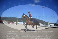 ref. photo 3336378