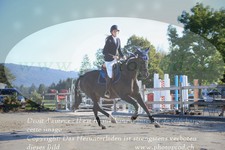 ref. photo 3336423