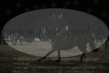 ref. photo 3336453