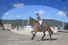 ref. photo 3336488